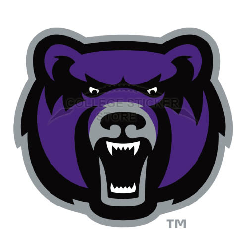 Customs Central Arkansas Bears Iron-on Transfers (Wall Stickers)NO.4108